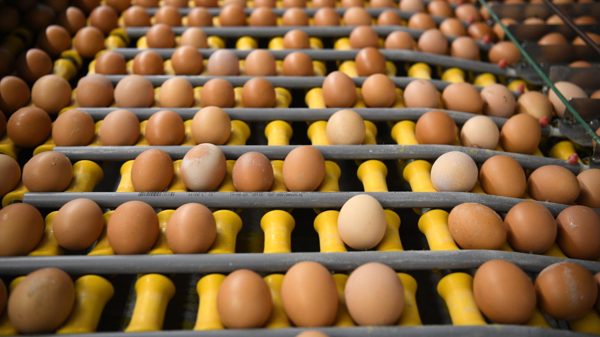 Песков назвал небыстрое снижение цен на яйца и курятину естественным процессом
