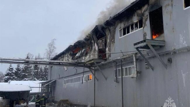 Пожар в деревне Петушки, где горит производственное здание