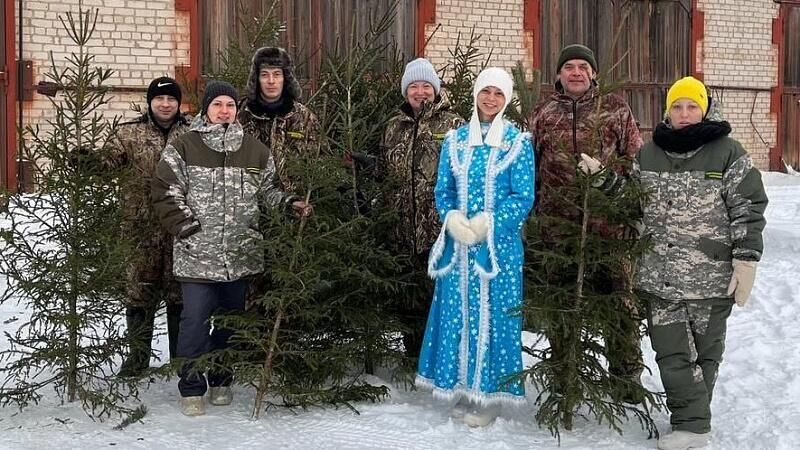 Лесничие Архангельской области отправят новогодние ели в зону СВО - РИА Новости, 1920, 15.12.2023