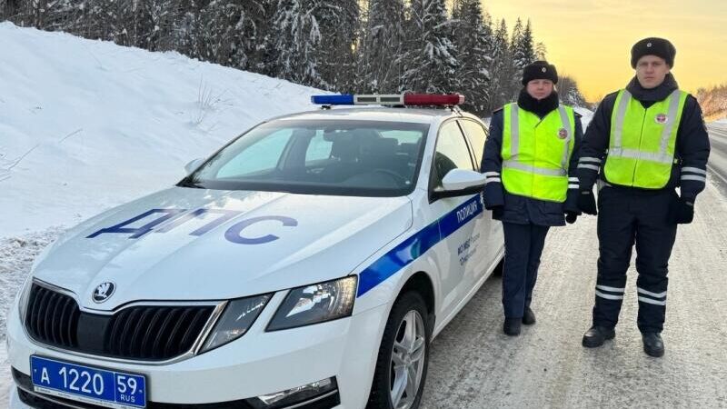 Сотрудники Госавтоинспекции, оказавшие помощь замерзающему дальнобойщику из Ирана в Пермском крае - РИА Новости, 1920, 15.12.2023