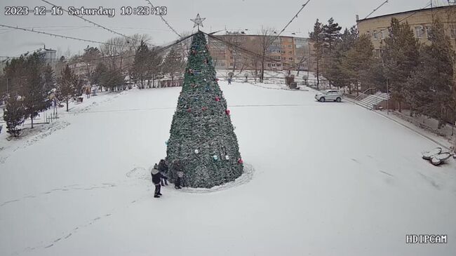 В Приморье трое школьников похитили новогодние игрушки с сельской елки. Кадр видео