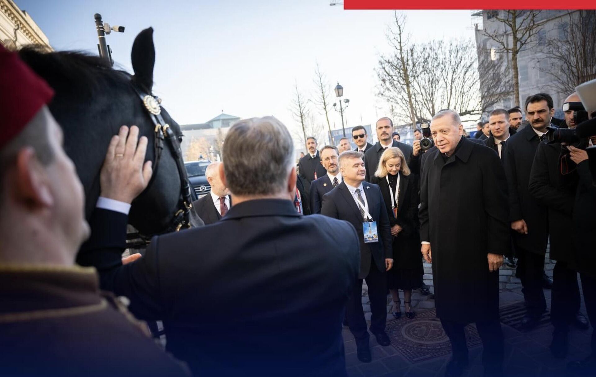 Премьер-министр Венгрии Виктор Орбан подарил находящемуся с визитом в Будапеште президенту Турции Реджепу Тайипу Эрдогану коня по кличке Аристократ - РИА Новости, 1920, 18.12.2023