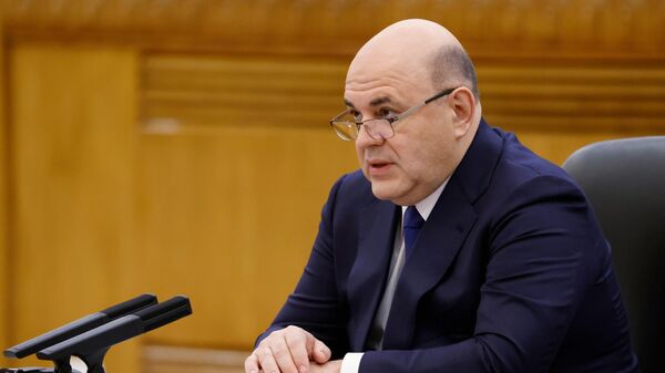 Мишустин оценил реализацию планов по развитию России за прошлый год 