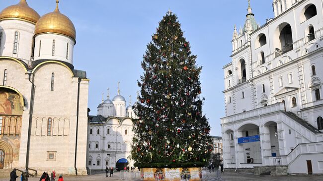 Главная новогодняя ель страны на Соборной площади Кремля в Москве