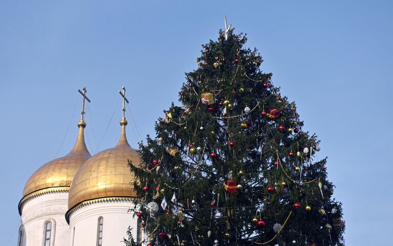 Главная новогодняя ель страны на Соборной площади Кремля в Москве