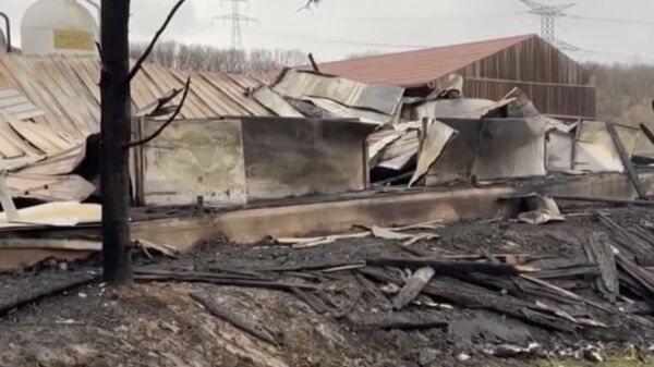 Последствия пожара на ферме на северо-востоке Франции. Стоп-кадр видео