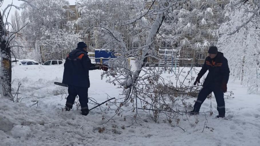 Уборка поваленных деревьев с проезжей части в Рязани - РИА Новости, 1920, 24.12.2023