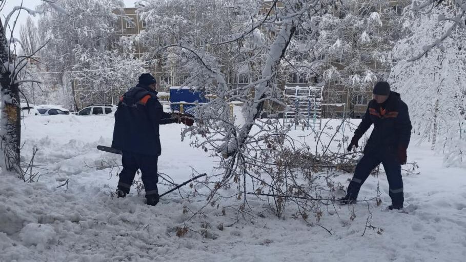 Уборка поваленных деревьев с проезжей части в Рязани - РИА Новости, 1920, 24.12.2023