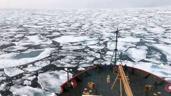 Ледокол береговой охраны США в научно-исследовательском походе в Чукотском море Северного Ледовитого океана. Архивное фото