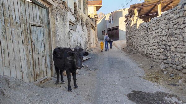 Прогулка по селу Чирката в Дагестане