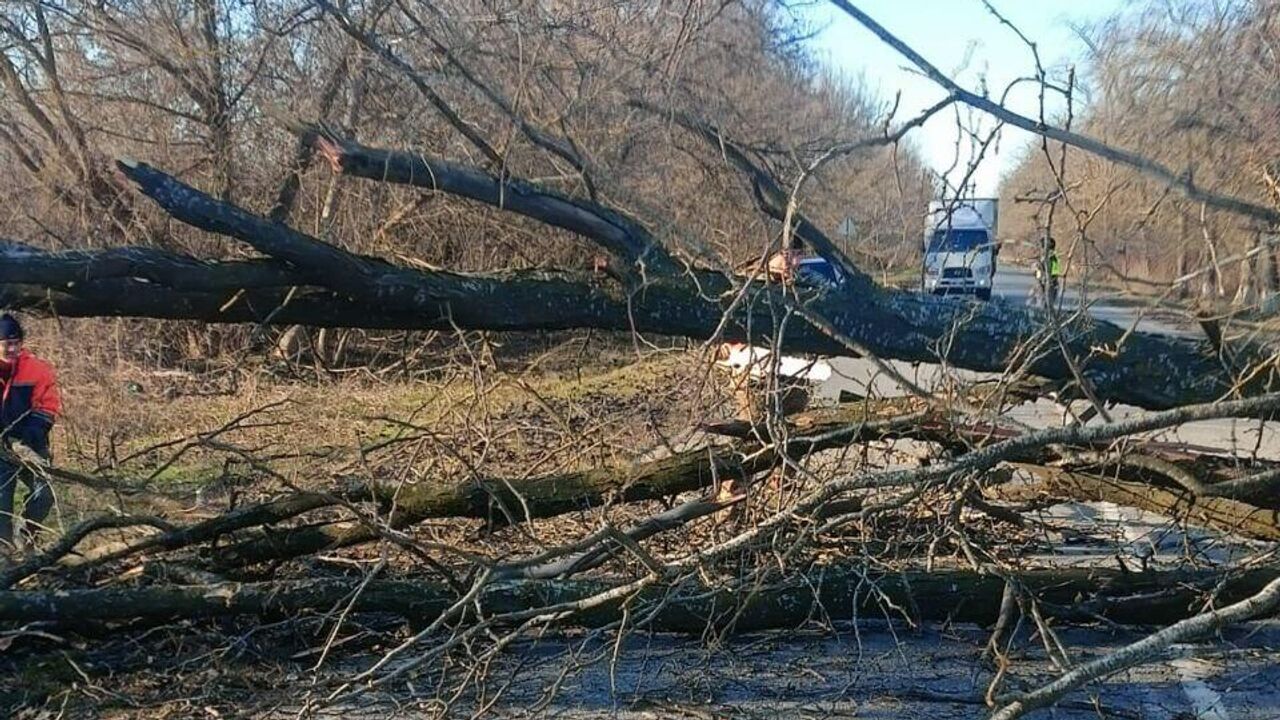 На Ставрополье обрушился шквалистый ветер - РИА Новости, 28.12.2023