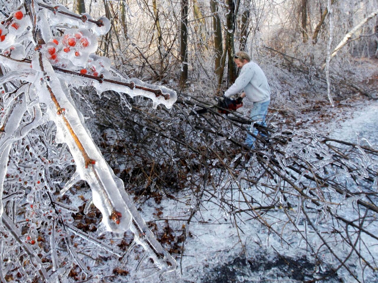 Запад снова в опасности. Ученые расследуют таинственные подземные толчки -  РИА Новости, 10.01.2024