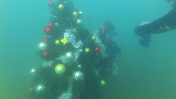 Украшенную новогодними игрушками елку установили у берегов Крыма на дне Черного моря