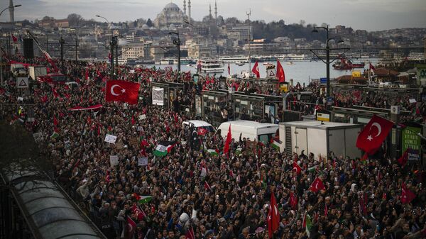 Пропалестинский митинг в Стамбуле. 1 января 2024