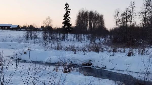 Вид на реку Городня, где утонула девочка вблизи села Киверичи в Тверской области