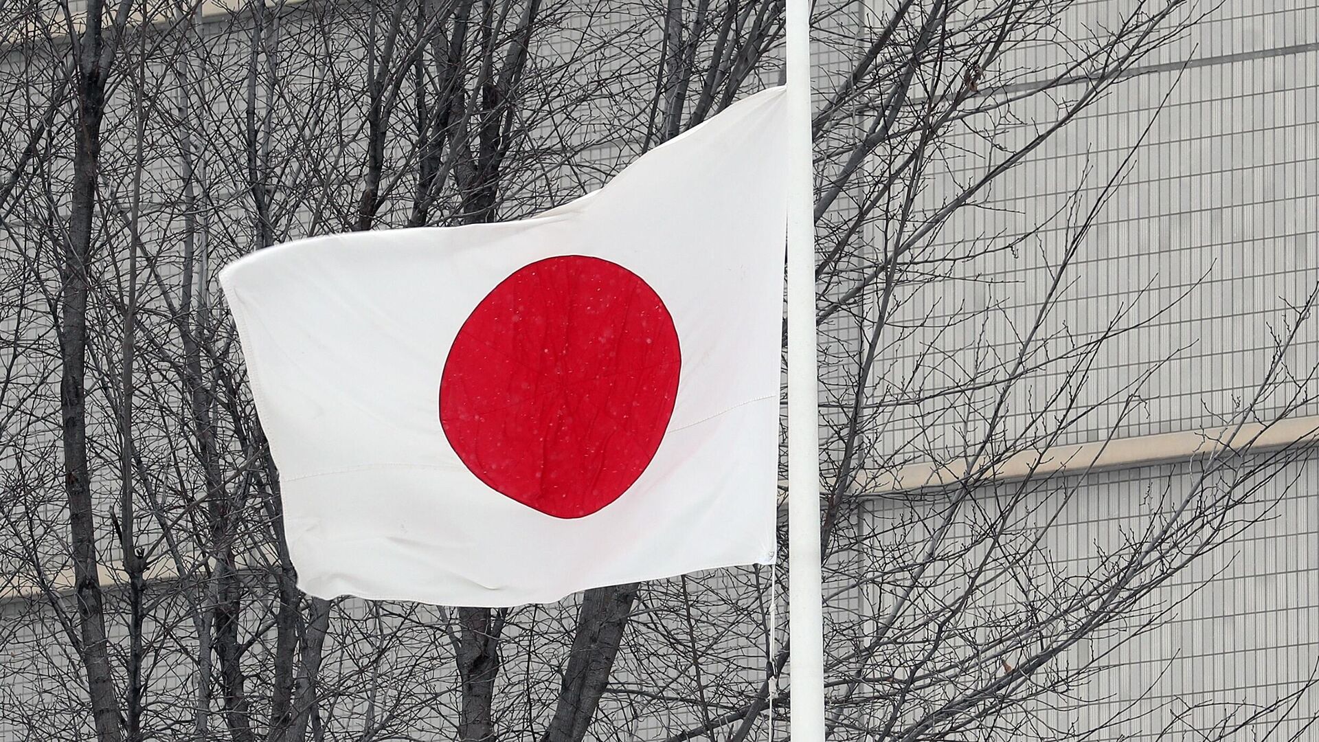 Флаг Японии - РИА Новости, 1920, 16.04.2024