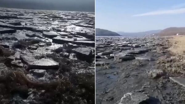 Стоп-кадр видео, размещенного жительницей Лазовского района Приморья, на котором видны огромные куски льда и валуны