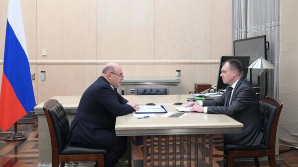 Председатель правительства РФ Михаил Мишустин и руководитель Росстандарта Антон Шалаев во время встречи