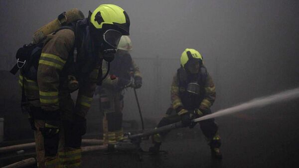 Сотрудники пожарной службы Украины