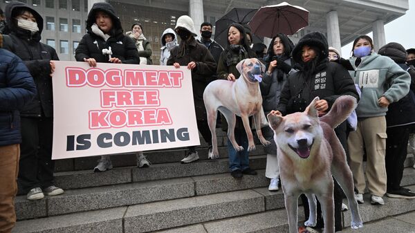 Митинг в поддержку законопроекта о запрете торговли собачьим мясом у здания Национальной ассамблеи в Сеуле. 9 января 2024