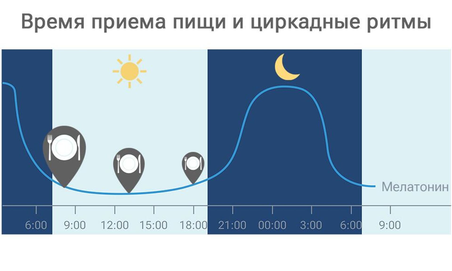 Здоровье без диет. Назван легкий метод избежать проблем с сердцем и сахаром  - РИА Новости, 12.01.2024