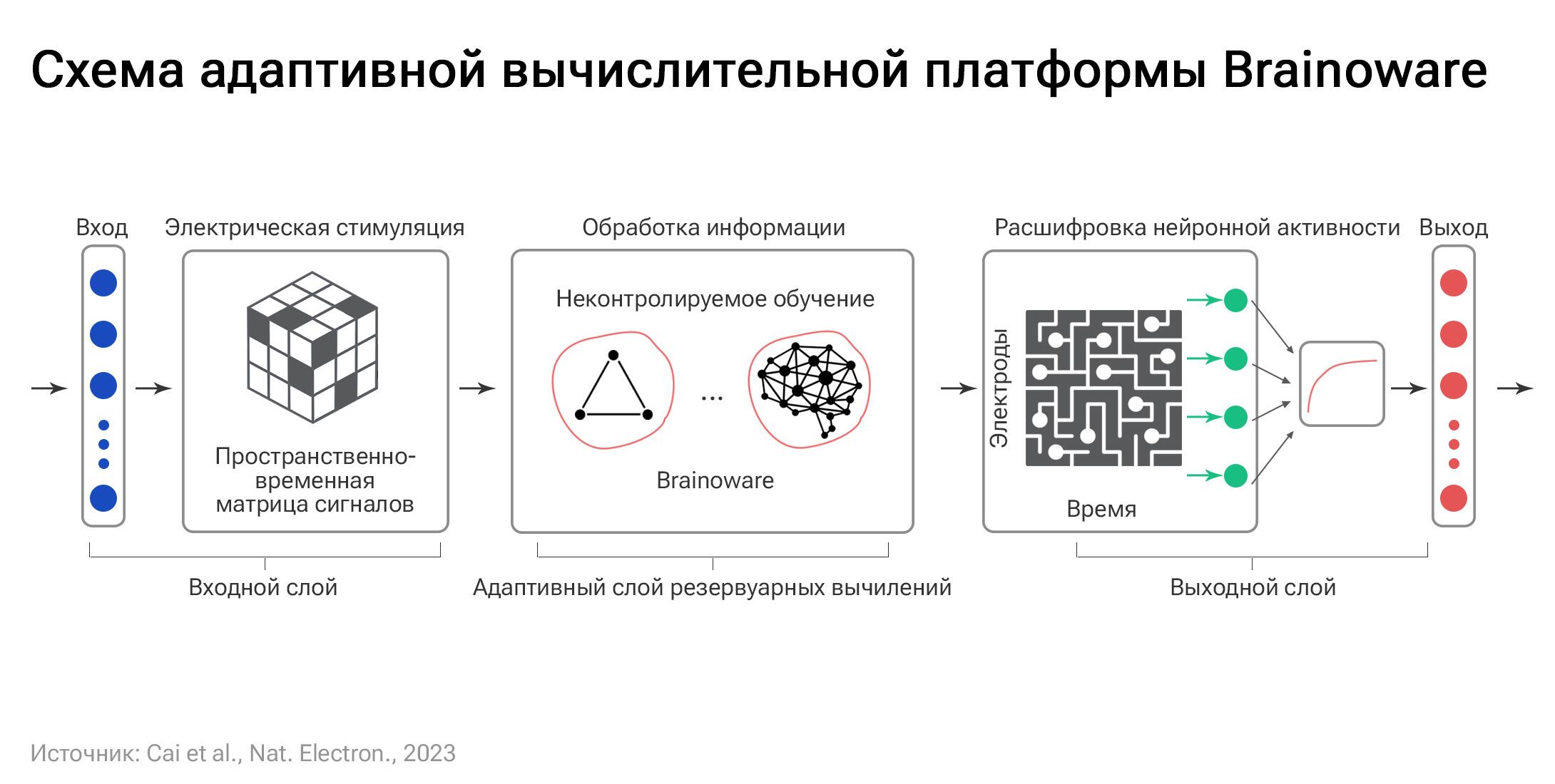Схема адаптивной вычислительной платформы Brainoware 