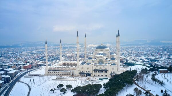 Вид на Большую мечеть в Стамбуле
