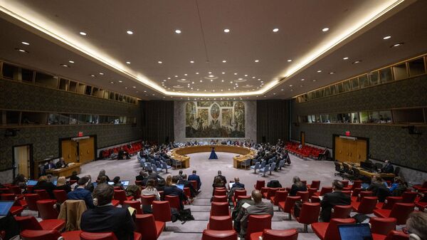 Заседание Совета Безопасности ООН