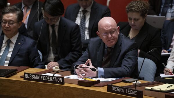 Постоянный представитель РФ при ООН Василий Небензя на заседании Совета Безопасности ООН