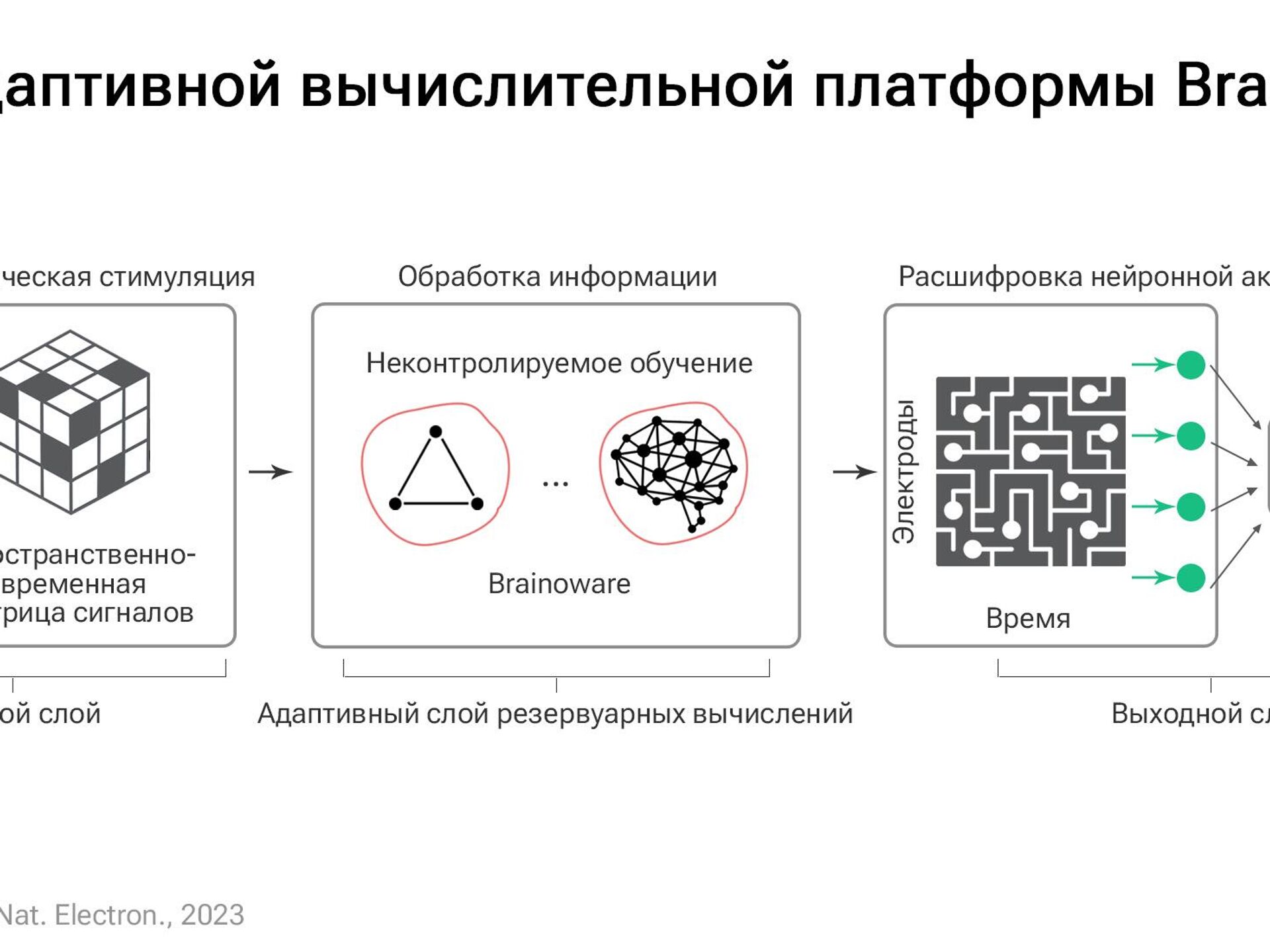 Живая