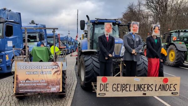 Митинг в Берлине против отмены субсидий для фермеров