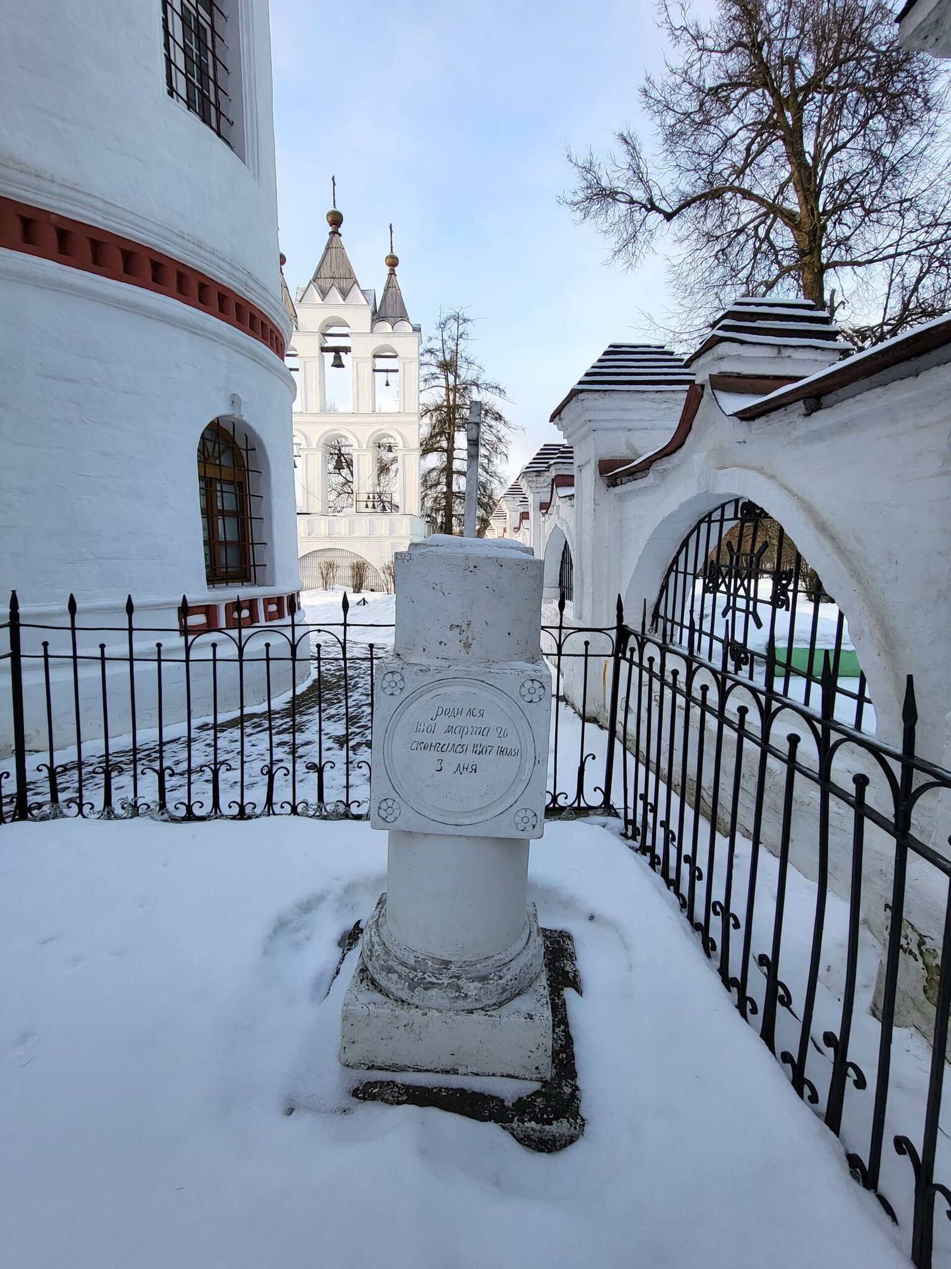 Памятник на могиле Николая Пушкина - РИА Новости, 1920, 15.01.2024