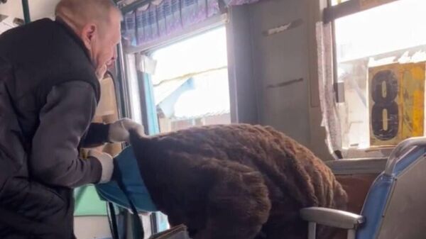 Кадр видео, на котором водитель выкидывает пожилую женщину из автобуса в Комсомольске-на-Амуре
