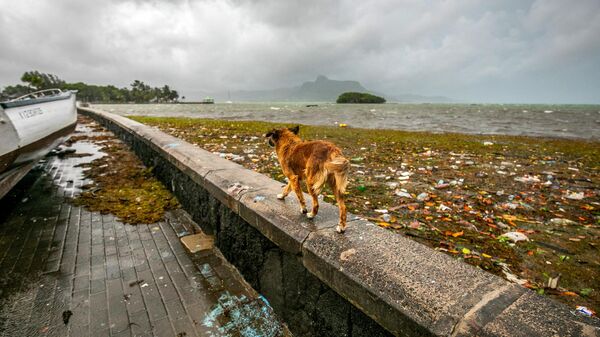 Последствия шторма, вызванного циклоном Белаль в Махебурге, Маврикий