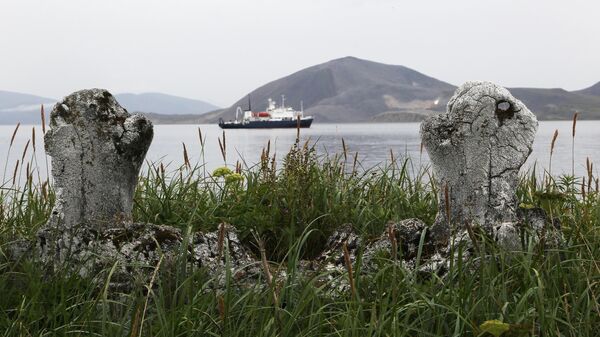 Древнее эскимосское сооружение Китовая аллея на острове Ыттыгран в Чукотском автономном округе