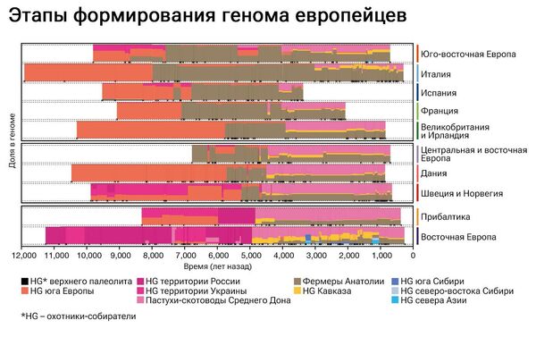 Этапы формирования генома европейцев