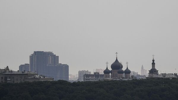 Вид на Донской монастырь в Москве