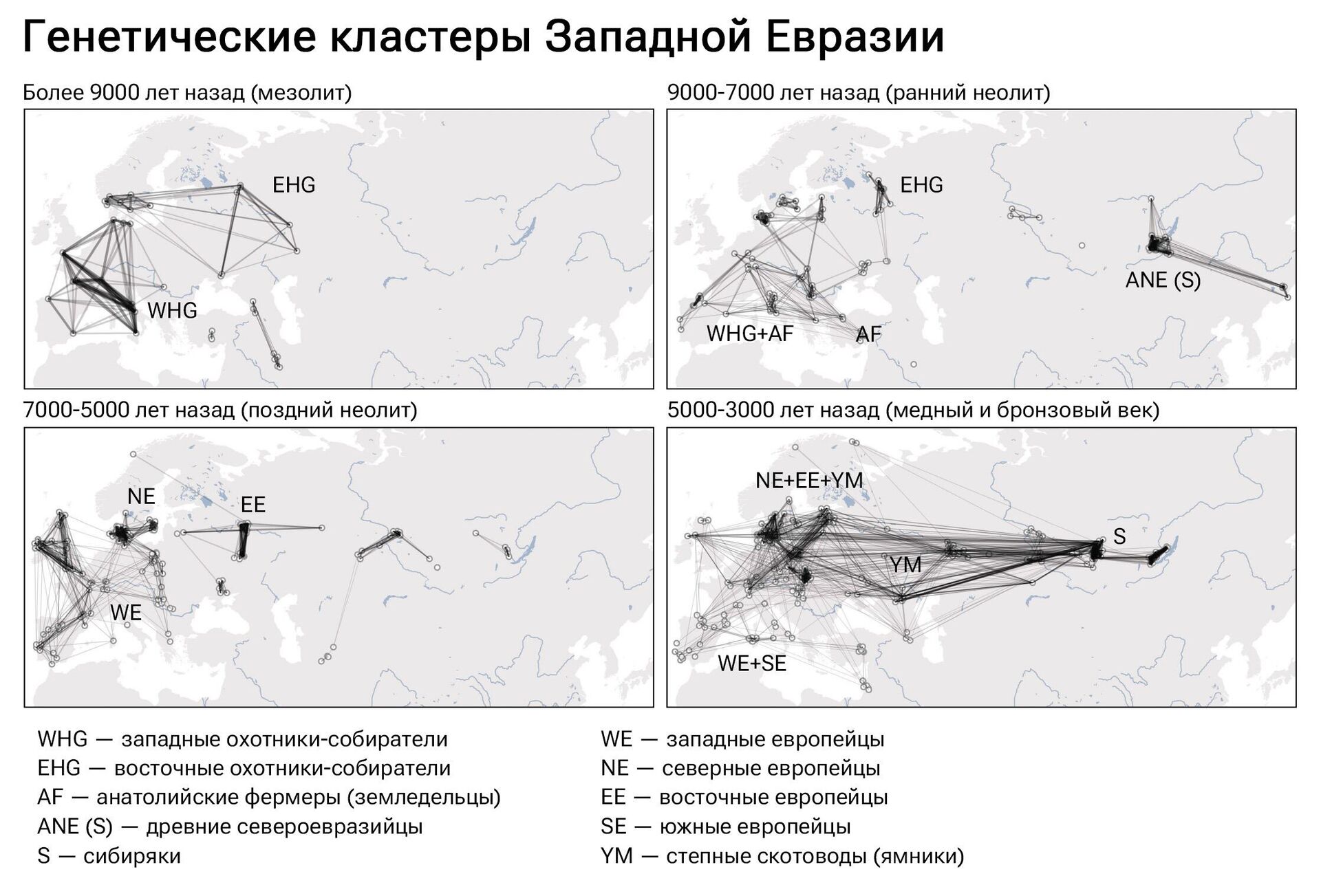 Генетические кластеры Западной Евразии - РИА Новости, 1920, 17.01.2024