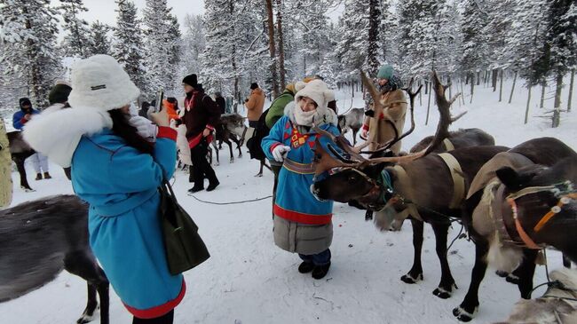 Туристы с оленями в комплексе Самь-Сыйт