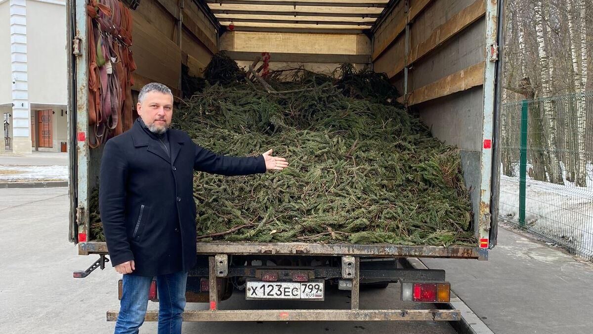 Хвою кремлевской новогодней елки передадут в московские зоопарки - РИА Новости, 1920, 19.01.2024