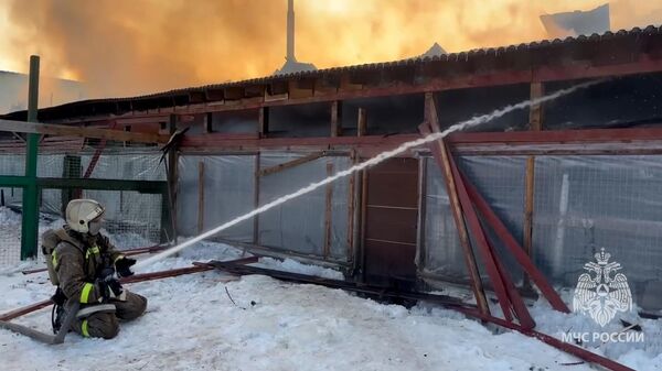 Кадры тушения пожара в приюте для животных в Южно-Сахалинске 