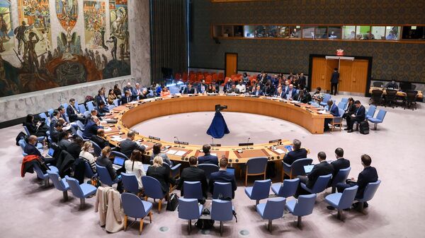 Заседание Совета Безопасности Организации Объединенных Наций