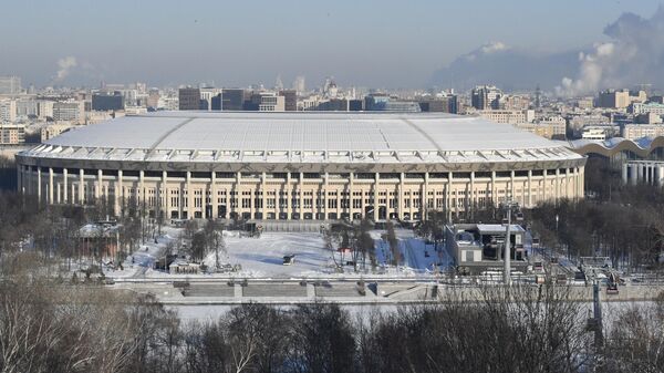 Вид на Олимпийский комплекс Лужники