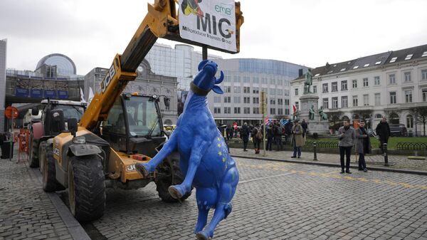 Демонстрация французских и бельгийских фермеров возле Европейского парламента в Брюсселе