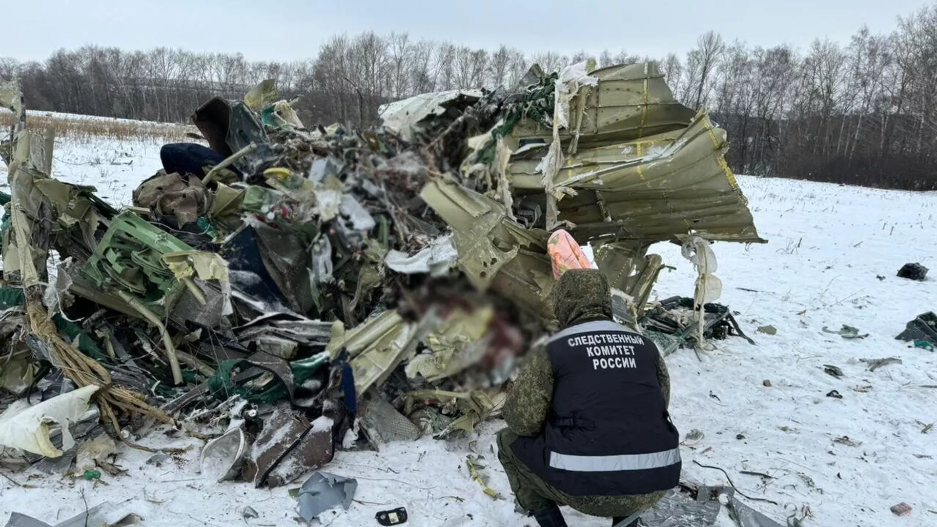 Los investigadores del Comité de Investigación trabajan en el lugar del accidente del Il-76 - RIA Novosti, 1920, 18/02/2024