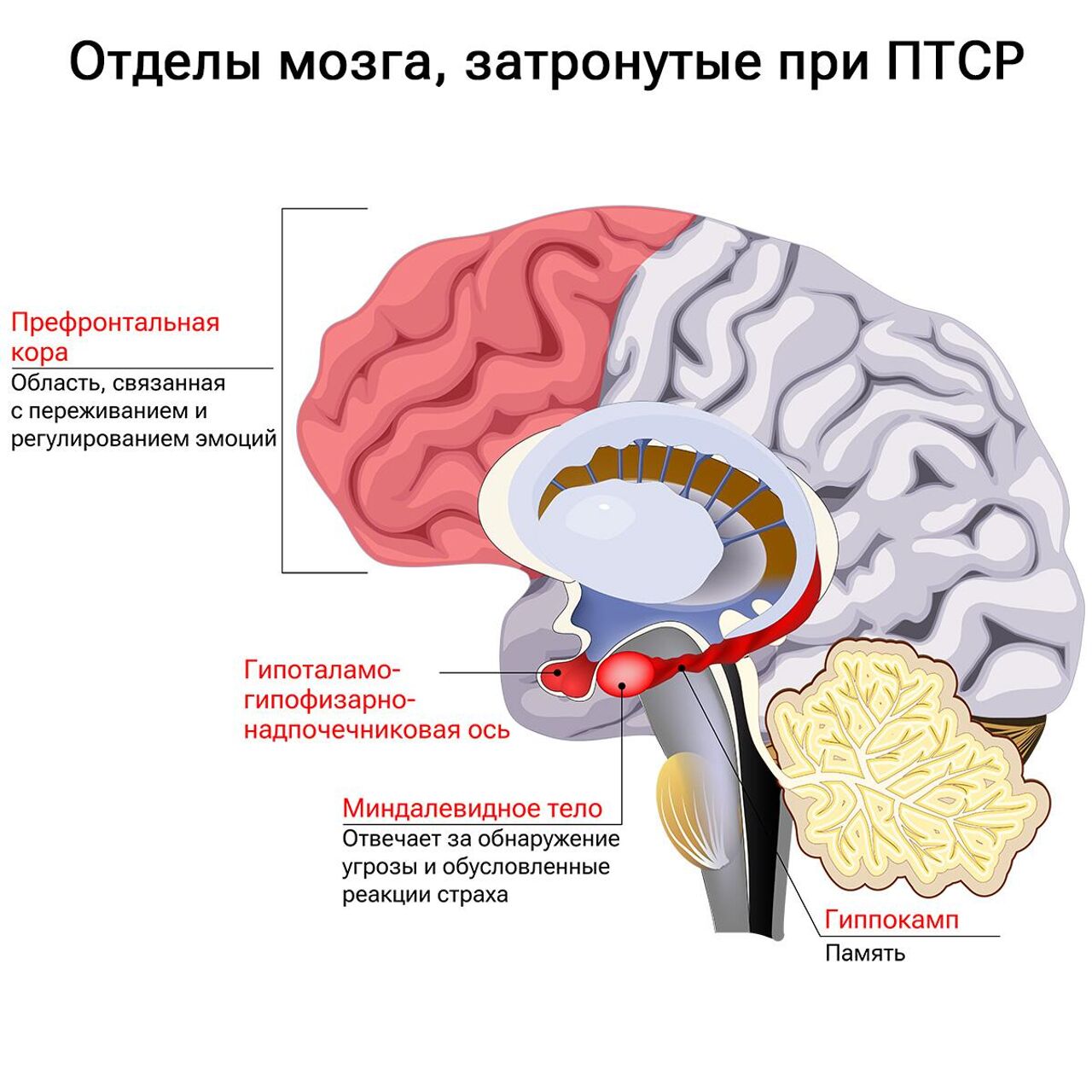 Не разговаривал с окружающими много лет