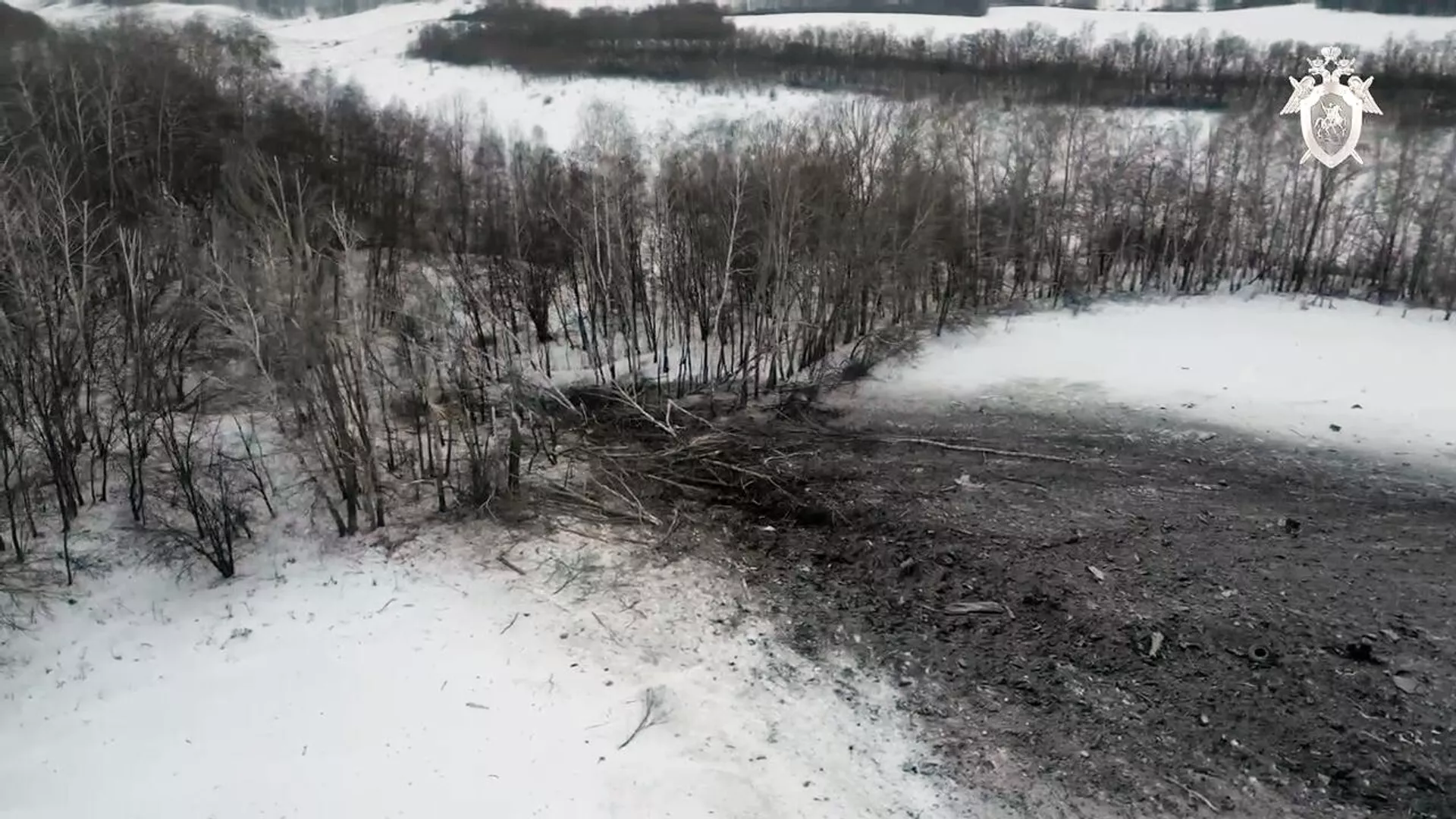 El lugar del accidente del avión de transporte militar Il-76 en la región de Belgorod - RIA Novosti, 1920, 17/02/2024