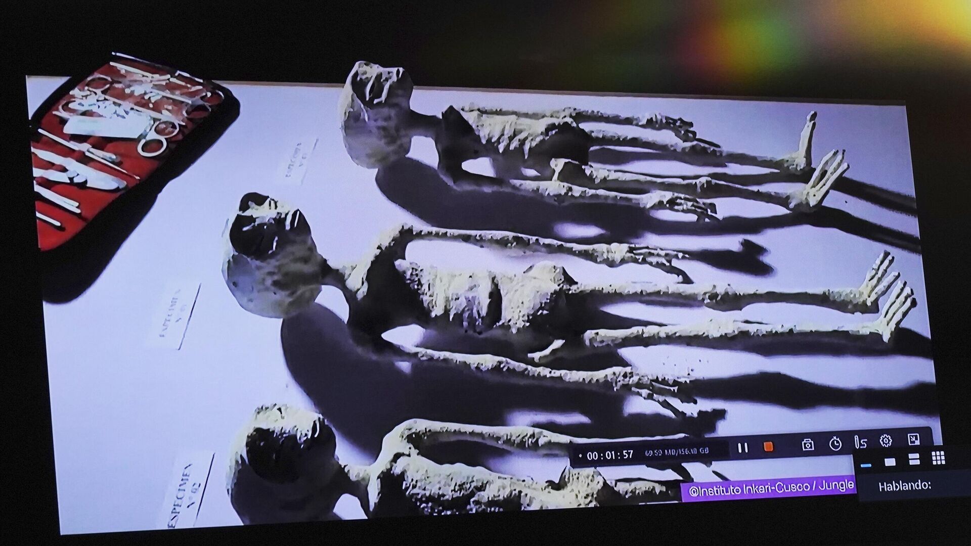 Экран, на котором мексиканский журналист-уфолог Хайме Мауссан демонстрирует представителей нечеловеческой расы, в палате депутатов в Мехико - РИА Новости, 1920, 27.01.2024