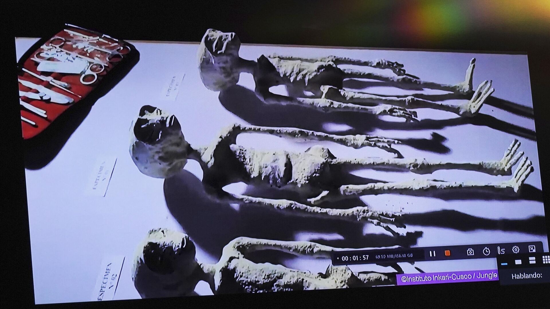 Экран, на котором мексиканский журналист-уфолог Хайме Мауссан демонстрирует представителей нечеловеческой расы, в палате депутатов в Мехико - РИА Новости, 1920, 27.01.2024