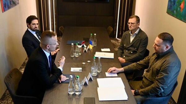 Переговоры украинской делегации с министром иностранных дел и внешнеэкономических связей Венгрии Петером Сийярто в Ужгороде